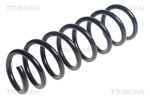 Fahrwerksfeder Vorderachse Triscan 8750 11175 Fahrwerksfeder Vorderachse Triscan 8750 11175 von Triscan
