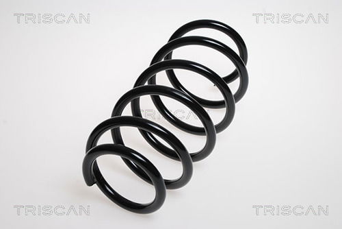 Fahrwerksfeder Vorderachse Triscan 8750 24131 Fahrwerksfeder Vorderachse Triscan 8750 24131 von Triscan