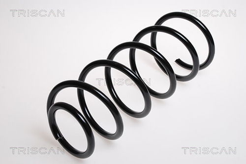 Fahrwerksfeder Vorderachse Triscan 8750 29132 Fahrwerksfeder Vorderachse Triscan 8750 29132 von Triscan