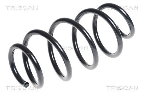 Fahrwerksfeder Vorderachse Triscan 8750 29309 Fahrwerksfeder Vorderachse Triscan 8750 29309 von Triscan