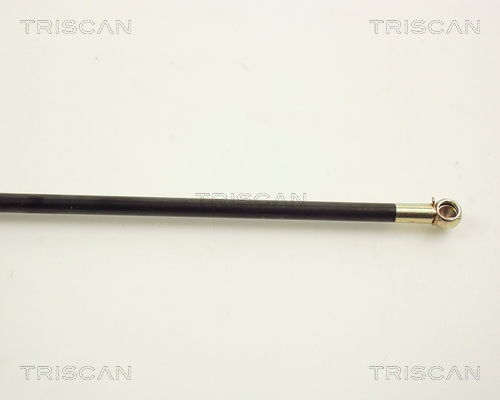 Gasfeder, Koffer-/Laderaum Triscan 8710 12201 von Triscan