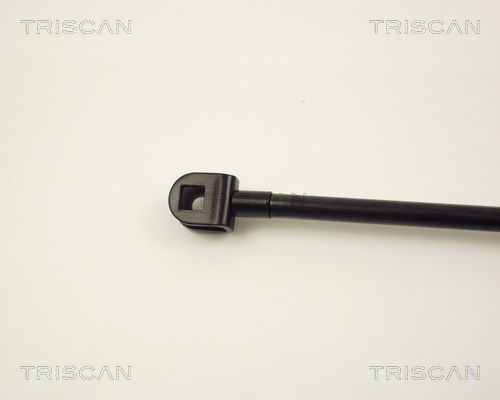 Gasfeder, Koffer-/Laderaum Triscan 8710 13229 Gasfeder, Koffer-/Laderaum Triscan 8710 13229 von Triscan