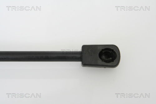 Gasfeder, Koffer-/Laderaum Triscan 8710 13267 Gasfeder, Koffer-/Laderaum Triscan 8710 13267 von Triscan