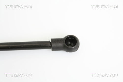 Gasfeder, Koffer-/Laderaum Triscan 8710 13273 Gasfeder, Koffer-/Laderaum Triscan 8710 13273 von Triscan