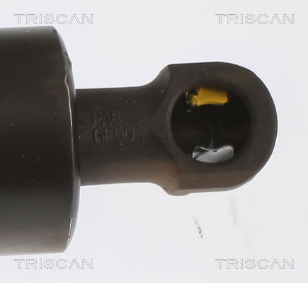 Gasfeder, Koffer-/Laderaum Triscan 8710 14262 von Triscan