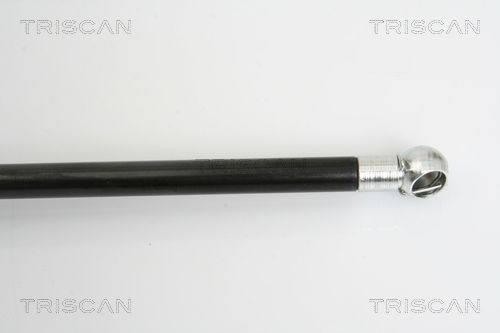 Gasfeder, Koffer-/Laderaum Triscan 8710 16244 Gasfeder, Koffer-/Laderaum Triscan 8710 16244 von Triscan