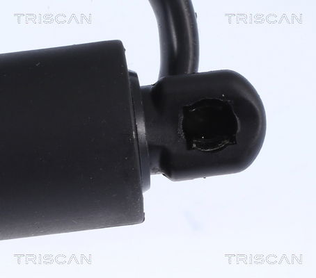Gasfeder, Koffer-/Laderaum Triscan 8710 17302 von Triscan