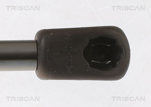 Gasfeder, Koffer-/Laderaum Triscan 8710 18245 Gasfeder, Koffer-/Laderaum Triscan 8710 18245 von Triscan