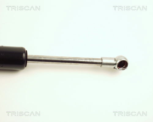 Gasfeder, Koffer-/Laderaum Triscan 8710 27213 von Triscan