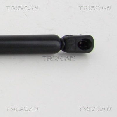 Gasfeder, Koffer-/Laderaum Triscan 8710 292024 von Triscan