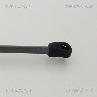 Gasfeder, Koffer-/Laderaum Triscan 8710 292044 Gasfeder, Koffer-/Laderaum Triscan 8710 292044 von Triscan