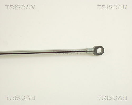 Gasfeder, Koffer-/Laderaum Triscan 8710 29229 Gasfeder, Koffer-/Laderaum Triscan 8710 29229 von Triscan