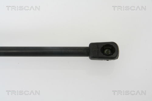 Gasfeder, Koffer-/Laderaum Triscan 8710 29263 von Triscan