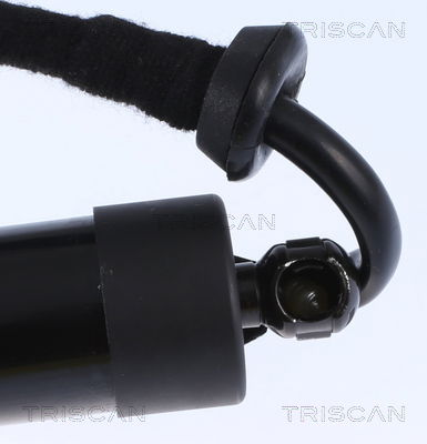 Gasfeder, Koffer-/Laderaum Triscan 8710 29301 von Triscan
