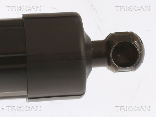 Gasfeder, Koffer-/Laderaum Triscan 8710 29303 von Triscan