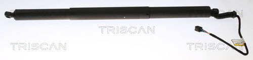 Gasfeder, Koffer-/Laderaum Triscan 8710 29306 Gasfeder, Koffer-/Laderaum Triscan 8710 29306 von Triscan