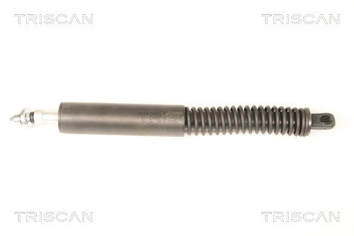 Gasfeder, Koffer-/Laderaum Triscan 8710 38228 von Triscan