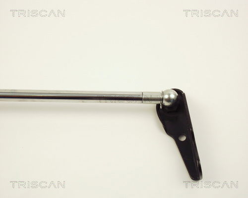 Gasfeder, Koffer-/Laderaum links Triscan 8710 13236 Gasfeder, Koffer-/Laderaum links Triscan 8710 13236 von Triscan