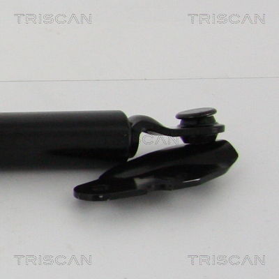 Gasfeder, Koffer-/Laderaum links Triscan 8710 13290 Gasfeder, Koffer-/Laderaum links Triscan 8710 13290 von Triscan