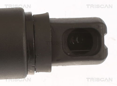 Gasfeder, Koffer-/Laderaum links Triscan 8710 23305 von Triscan