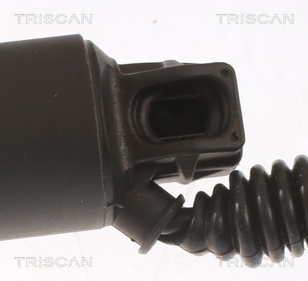 Gasfeder, Koffer-/Laderaum links Triscan 8710 29307 von Triscan