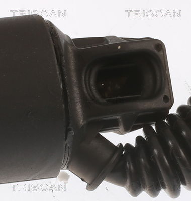 Gasfeder, Koffer-/Laderaum links Triscan 8710 29311 von Triscan