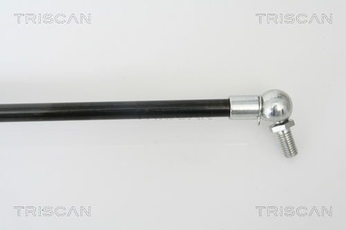 Gasfeder, Koffer-/Laderaum links Triscan 8710 42230 von Triscan