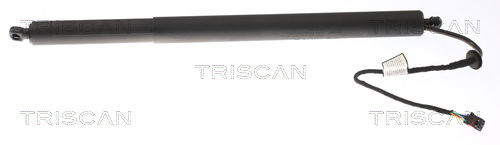 Gasfeder, Koffer-/Laderaum links Triscan 8710 43301 Gasfeder, Koffer-/Laderaum links Triscan 8710 43301 von Triscan