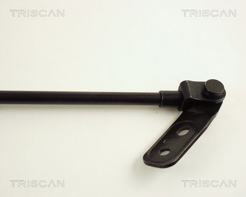 Gasfeder, Koffer-/Laderaum links Triscan 8710 50222 Gasfeder, Koffer-/Laderaum links Triscan 8710 50222 von Triscan