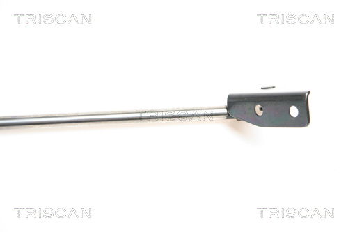 Gasfeder, Koffer-/Laderaum links Triscan 8710 69211 Gasfeder, Koffer-/Laderaum links Triscan 8710 69211 von Triscan
