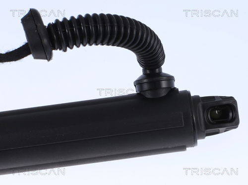 Gasfeder, Koffer-/Laderaum rechts Triscan 8710 11304 von Triscan