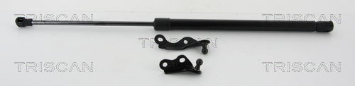 Gasfeder, Koffer-/Laderaum rechts Triscan 8710 13287 von Triscan