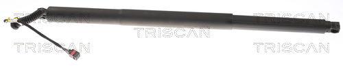 Gasfeder, Koffer-/Laderaum rechts Triscan 8710 29308 Gasfeder, Koffer-/Laderaum rechts Triscan 8710 29308 von Triscan