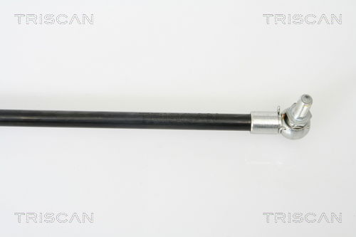 Gasfeder, Koffer-/Laderaum rechts Triscan 8710 42229 Gasfeder, Koffer-/Laderaum rechts Triscan 8710 42229 von Triscan
