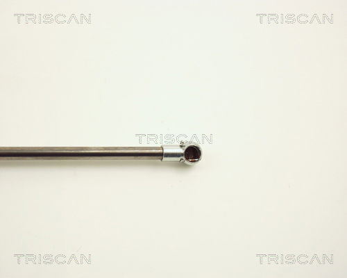 Gasfeder, Motorhaube Triscan 8710 11106 Gasfeder, Motorhaube Triscan 8710 11106 von Triscan