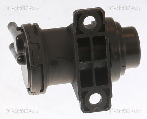 Gasfeder, Motorhaube Triscan 8710 29101 von Triscan