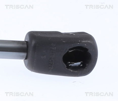 Gasfeder, Motorhaube rechts Triscan 8710 29153 von Triscan