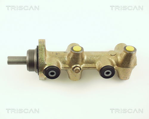 Hauptbremszylinder Triscan 8130 29100 Hauptbremszylinder Triscan 8130 29100 von Triscan