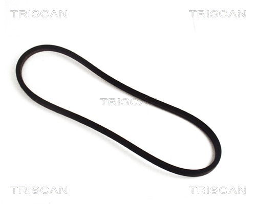 Keilriemen Triscan 8640 171125 Keilriemen Triscan 8640 171125 von Triscan