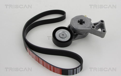 Keilrippenriemensatz Triscan 8642 29003 Keilrippenriemensatz Triscan 8642 29003 von Triscan