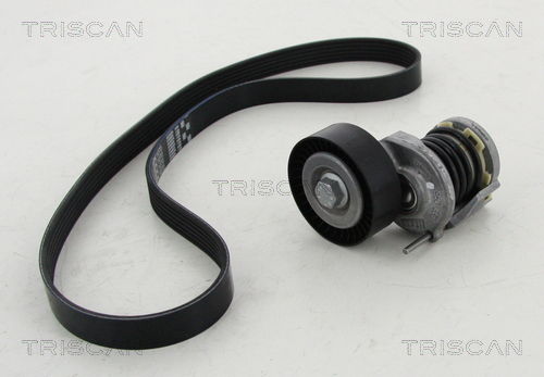 Keilrippenriemensatz Triscan 8642 29011 Keilrippenriemensatz Triscan 8642 29011 von Triscan