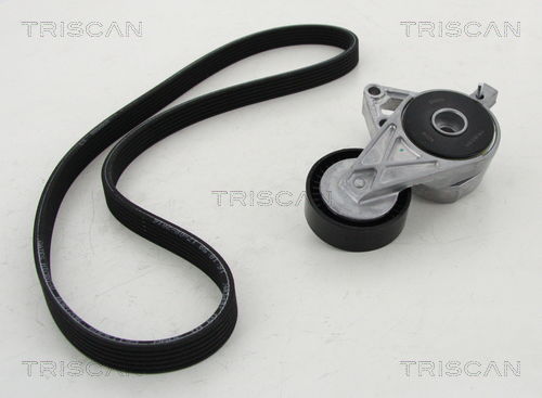 Keilrippenriemensatz Triscan 8642 29013 Keilrippenriemensatz Triscan 8642 29013 von Triscan