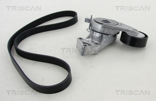 Keilrippenriemensatz Triscan 8642 29017 Keilrippenriemensatz Triscan 8642 29017 von Triscan