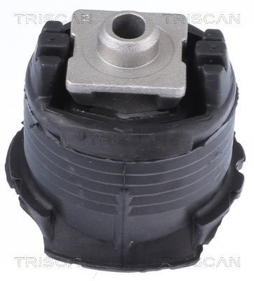 Lagerung, Achskörper Hinterachse hinten Triscan 8500 238010 von Triscan
