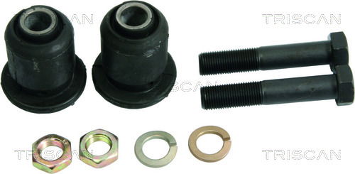 Lagerung, Lenker Hinterachse Triscan 8500 2331 von Triscan