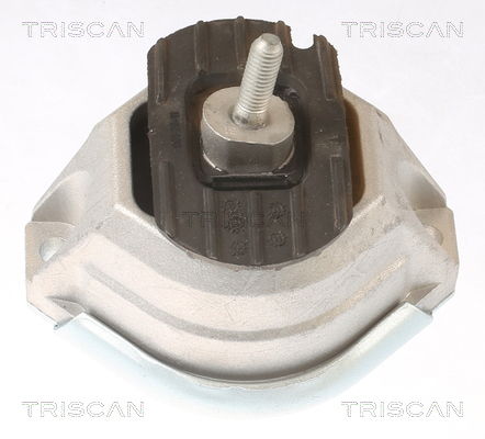 Lagerung, Motor Triscan 8505 11114 von Triscan