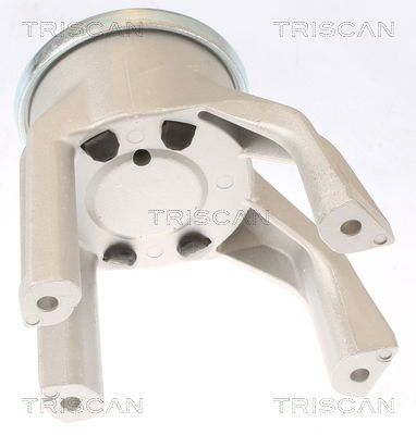 Lagerung, Motor Triscan 8505 29187 von Triscan