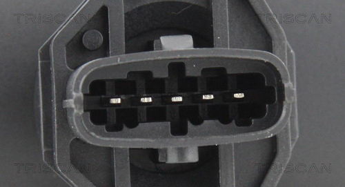 Luftmassenmesser Triscan 8812 15019 von Triscan