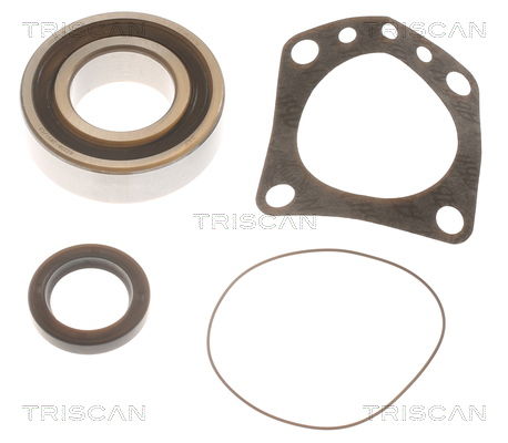Radlagersatz Hinterachse Triscan 8530 70202 von Triscan
