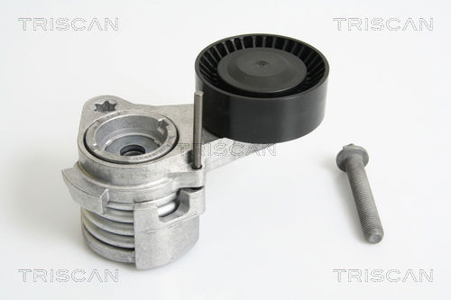 Riemenspanner, Keilrippenriemen Triscan 8641 113027 von Triscan